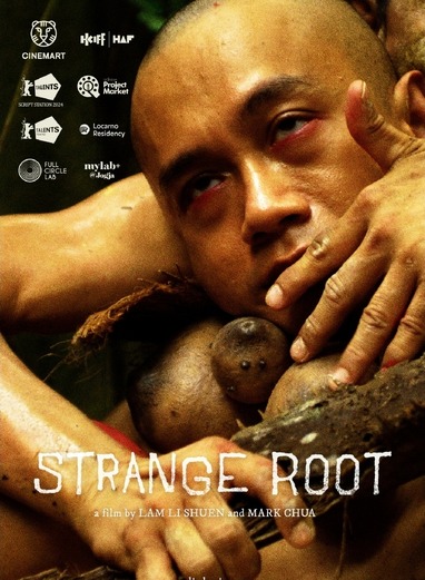 strange root 50%.jpg